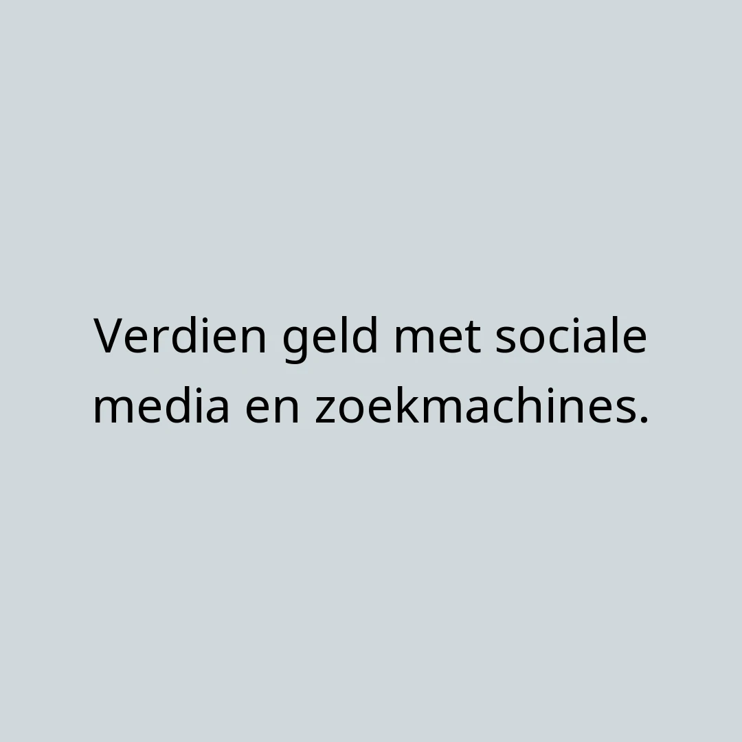 Geld Verdienen met Social Media en Zoekmachines: De Nieuwe Manier met MeSearching